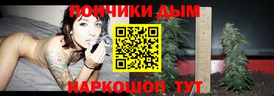 индика Ливны