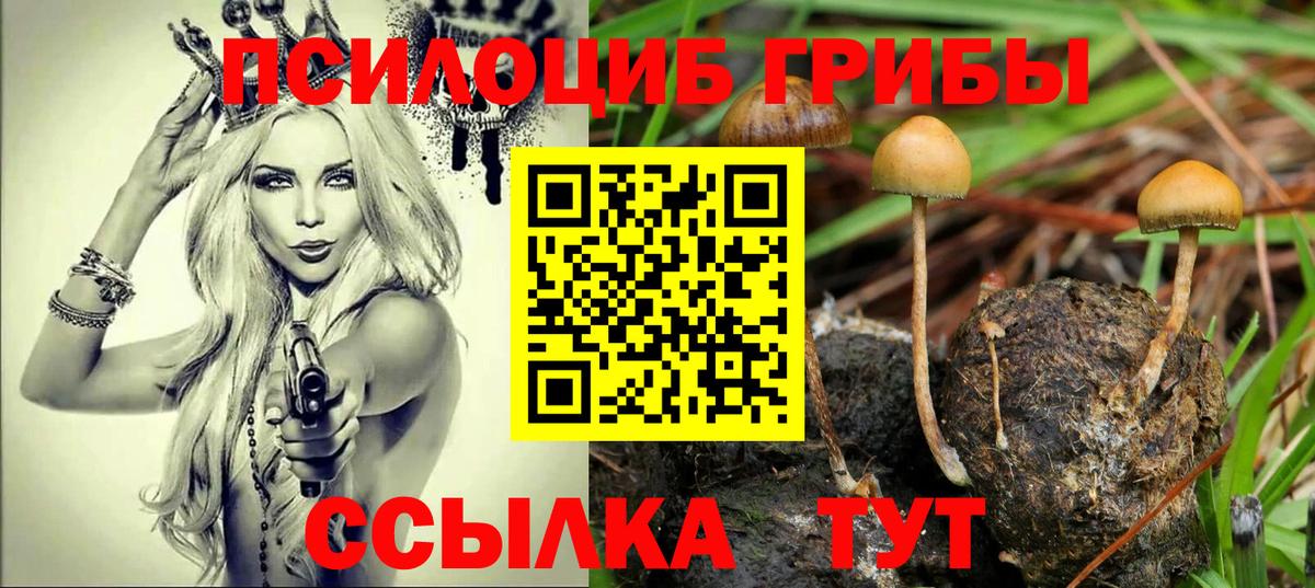 Галлюциногенные грибы MAGIC MUSHROOMS Чехов