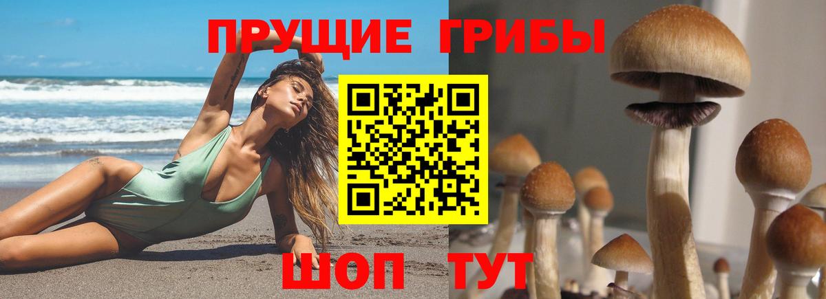 наркотики  Вход с VPN  Чехов  Псилоцибиновые грибы мухоморы 